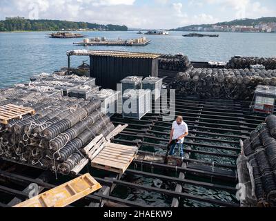 O GROVE, ESPAGNE - 24 JUILLET 2021 : un agriculteur présente des moules aux touristes sur la plate-forme de la ferme des mollusques dans l'estuaire d'Arousa, près de O Grove, Pontevedra, GA Banque D'Images