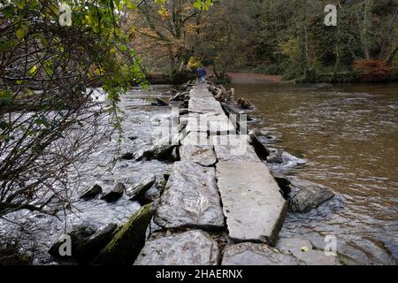 Belles couleurs d'automne parmi les arbres entourant la rivière à Tarr Steps sur la rivière Barle le 12th novembre 2021 à Dulverton, Royaume-Uni.Le pont est un pont typique de clapper d'origine médiévale.Le pont, qui mesure 180 pieds 55 m de long et compte 17 travées, a été désigné par le patrimoine anglais comme un bâtiment classé de catégorie I et un monument historique. Banque D'Images