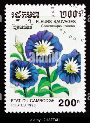 CAMBODGE - VERS 1993: Un timbre imprimé au Cambodge montre la gloire du matin de Dwarf, Convolvulus Tricolor, Fleur, vers 1993 Banque D'Images