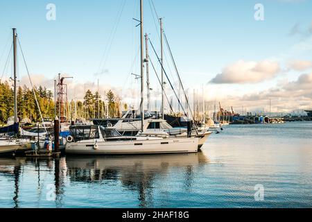 yachts et bateaux garés à l'extérieur du parc stanley vancouver c.-b. canada Banque D'Images