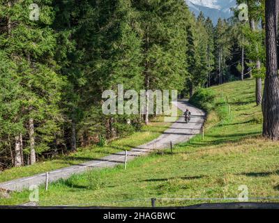 Moto en tournée sur le SP53 dans la région du Trentin en Italie Banque D'Images