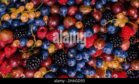 Groseilles à maquereau, bleuets, mûres, framboises, groseilles blanches et rouges. Banque D'Images