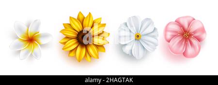 Ensemble de fleurs de printemps à motif vectoriel.Fleurs de fleurs collection de tournesol, plumeria, cerisiers en fleurs et cosmos nature plantes isolées en blanc. Illustration de Vecteur