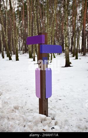 Panneau dans la forêt d'hiver de bouleau avec différentes enseignes colorées vierges Banque D'Images