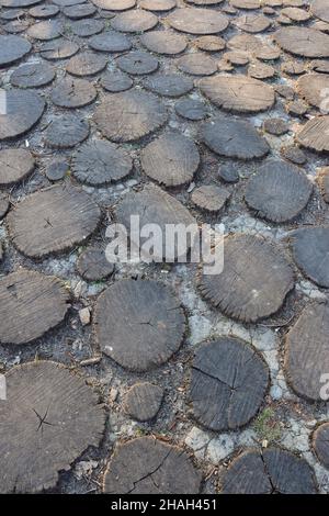 Une chaussée en bois composée de plusieurs souches rondes en bois scié creusées dans le sol de formes diverses.Répétition par répétition Banque D'Images