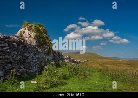 Mur de bassin versant le long de Whernside avec Erratic, les Yorkshire Dales Banque D'Images