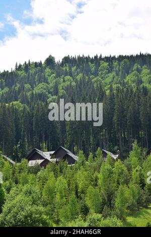 Sous la montagne d'été se trouvent des rangées de maisons d'hôtel au toit vert.Les pentes sont surcultivées avec des arbres Banque D'Images