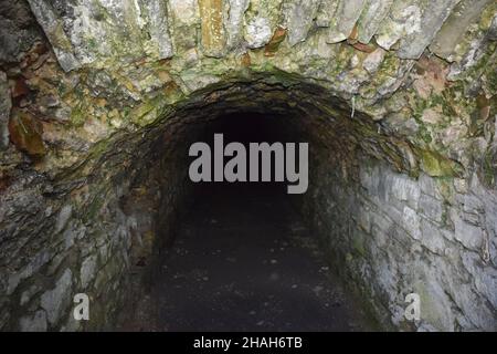 L'entrée du donjon étrange.Un couloir menant dans l'obscurité.Recouvert de pierre rugueuse.Seul le début de la trajectoire est allumé Banque D'Images