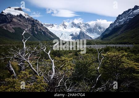 Vue panoramique depuis le sentier de randonnée jusqu'aux forêts subpolaires de Magellanic, aux montagnes Cerro Solo et Cerro Torre dans le parc national de Los Glaciares près d'El Chalten, Banque D'Images