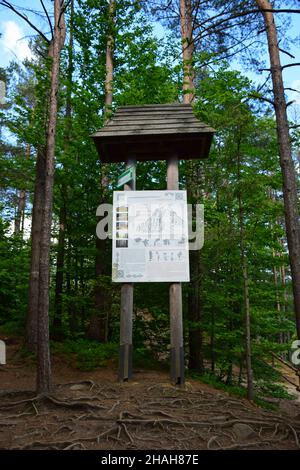 Grand panneau décoratif de trois planches horizontales avec espace vierge pour les inscriptions sur chacun d'eux sur un fond d'herbe verte Banque D'Images