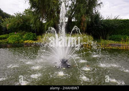 Fontaine décorative sur un étang avec de nombreux jets contre le fond des arbres d'été Banque D'Images
