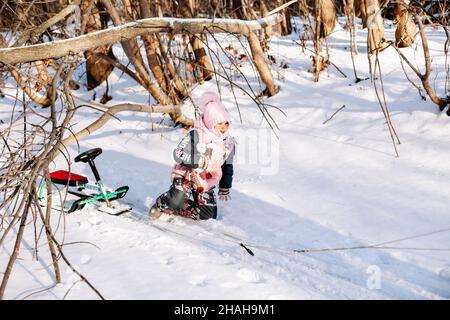 Une petite fille joue dans une forêt enneigée.Enfant en hiver, des vêtements chauds sont tombés du traîneau des enfants dans la neige Banque D'Images