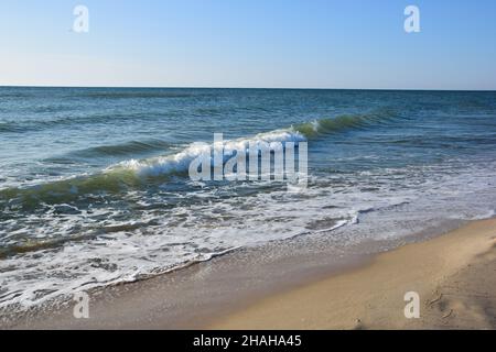 Les vagues de surf se roulent sur la plage de sable en petites vagues mousseuse.Le ciel est clair, sans nuages Banque D'Images