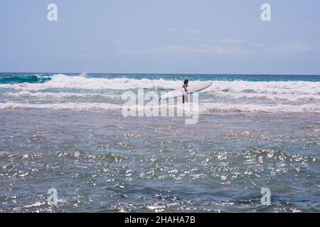 Femme vue entrer dans l'eau avec sa planche de surf Banque D'Images