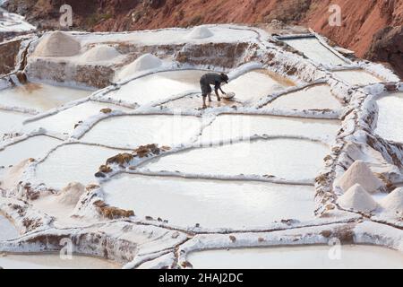 Salines à Salinas.Un ouvrier porte du sel le long des terrasses. Banque D'Images