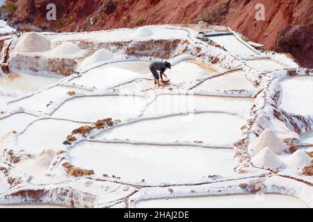 Salines à Salinas.Un ouvrier porte du sel le long des terrasses. Banque D'Images