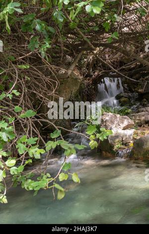 Forêt enchantée de l'higueral à Pozo Alcon Banque D'Images