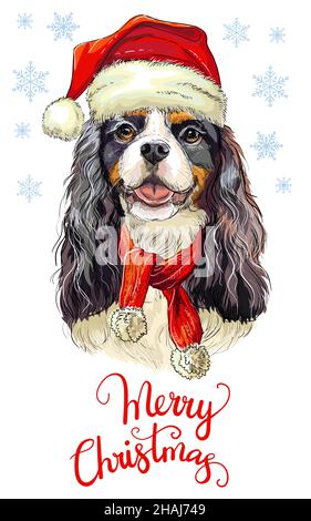 Carte de vœux.Drôle de cavalier King charles spaniel portrait de chien avec une écharpe et un chapeau de Noël avec flocons de neige et lettrage.Illustration vectorielle.Pour Illustration de Vecteur