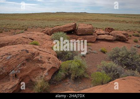 Le bord surélevé du cratère Meteor à l'horizon près de Winslow, dans le nord de l'Arizona, aux États-Unis. Banque D'Images