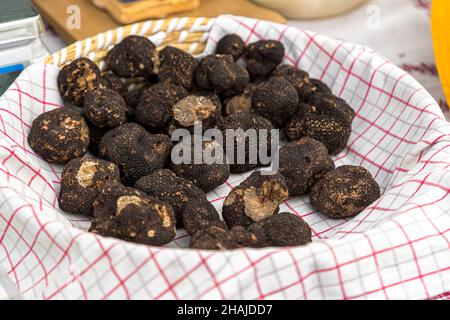 Truffe noire, truffe d'hiver, France, Var, Tuber Melanosporum,Prix au kilo entre 600 et 1 000 euros dans Aups, France Banque D'Images