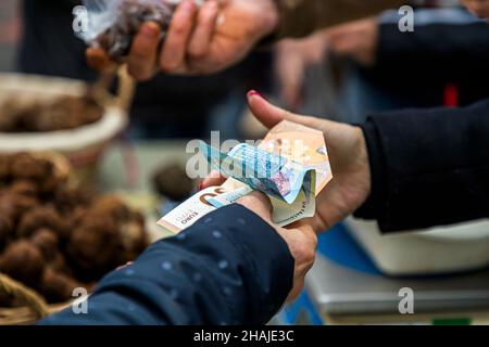 Profitez de la truffe noire dans le Var