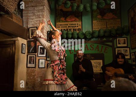 Spectacle de flamenco à El Pasaje tabanco à Jerez de la Frontera Banque D'Images