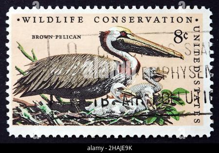 ÉTATS-UNIS D'AMÉRIQUE - VERS 1972 : un timbre imprimé aux États-Unis montre le Pélican brun, Pelecanus occidentalis, Bird, vers 1972 Banque D'Images