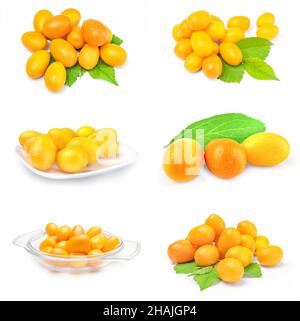Collage de cumquats sur un fond blanc isolé Banque D'Images