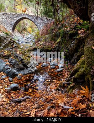 Pont à pierres médiéval avec eau qui coule dans la rivière en automne. Banque D'Images