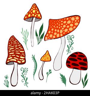 Ensemble de champignons décoratifs, couleur hallucinogène amanita, isolé sur fond blanc. Illustration de Vecteur