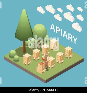 Arrière-plan isométrique apiaire avec des rangées de ruches debout sur la pelouse près des arbres illustration vectorielle Illustration de Vecteur