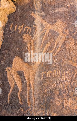 Jabal Umm Sanman Rock Art à Jubbah Arabie Saoudite datant de 10000 ans, région de Hail site du patrimoine mondial de l'UNESCO, Banque D'Images