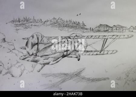 Atterrissage en biplan sur l'herbe. Banque D'Images