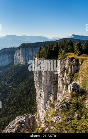 ISERE (38), PARC NATUREL RÉGIONAL DU VERCORS, COMMUNES D'AUTRANS, LAN-EN-VERCORS, ENGINS ET SASSENAGE, ZONE NATURELLE SENSIBLE DE L'ISERE, PLATEAU Banque D'Images