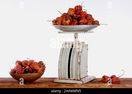 Paprika sur de vieilles balances métalliques sur des poutres en bois, isolé Banque D'Images