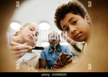 Vue à angle bas des enfants regardant à l'intérieur tout en faisant des expériences en classe Banque D'Images