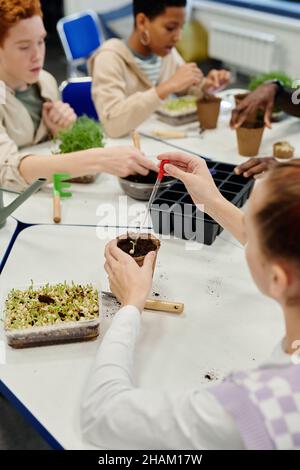 Injection verticale d'enfants plantant des graines tout en expérimentant à la classe de biologie à l'école Banque D'Images