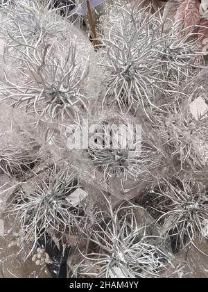 Décorations de Noël argentées sur fond brillant. Banque D'Images