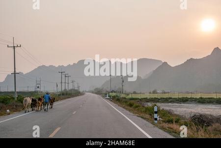 Fermier méconnaissable avec calle dans le parc national Sam Roi Yot au sud de Hua Hin dans la province de Prachuap Khiri Khan en Thaïlande. Banque D'Images