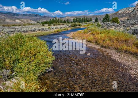 Arbustes en saule à Big Sandy River, sagebrush, Wind River Range à distance, vue de Lander Cutooff Road (CR 132), Bridger Teton Natl Forest (Wyoming) Banque D'Images