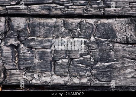 Arrière-plan de bois brûlé rugueux de couleurs noir et blanc avec texture inégale et fissures profondes Banque D'Images