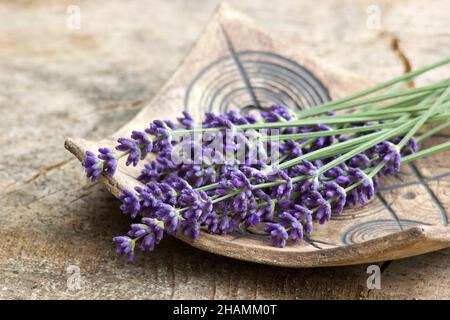 Bouquet de fleurs de lavande sur une assiette en argile Banque D'Images