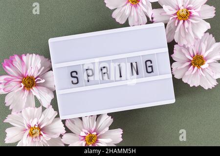 Texte de printemps sur la boîte lumineuse et fleurs naturelles délicates roses sur fond vert.Vue de dessus Flat Lay style minimaliste.Concept Bienvenue printemps.Carte de vœux Banque D'Images