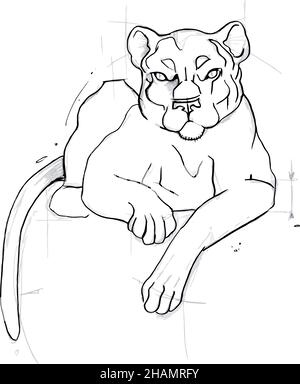 portrait d'une lionne sauvage de chat Illustration de Vecteur
