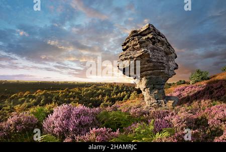 Formation rocheuse de Bridestone dans la forêt de Dalby, parc national de North Yworks Moors, Angleterre.Les célèbres Bridestones, Crosscliff et Blakey Topping, sont ap Banque D'Images