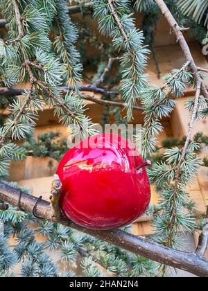 Pomme rouge sur un arbre de Noël Banque D'Images