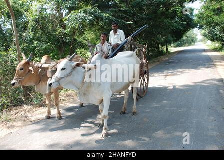 HYDERABAD, INDE - 02 mars 2017 : agriculteurs indiens heureux et éduqués Banque D'Images