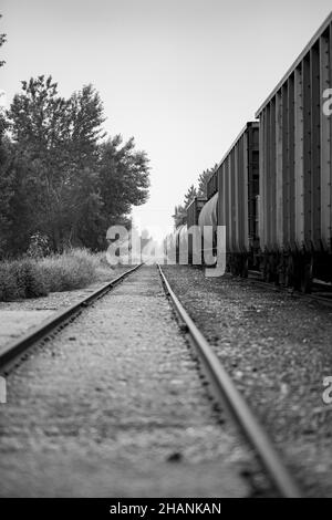 Vue verticale en échelle de gris de la gare. Banque D'Images