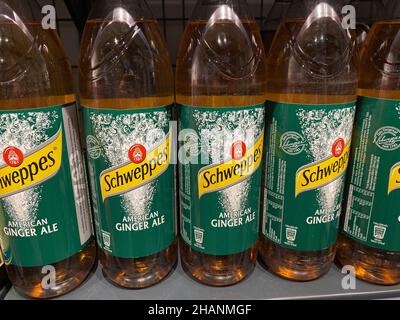 RHEINBACH, ALLEMAGNE 08 février 2021, plusieurs bouteilles de Schweppes avec la saveur American Ginger Ale sur l'étagère d'un supermarché allemand Banque D'Images