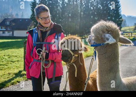 Femme en blouson rouge à pied avec deux alpacas beige et marron, gardant le contact visuel.Dans le fond Meadow arbres et la maison.Bauma Zurich Oberland SWI Banque D'Images